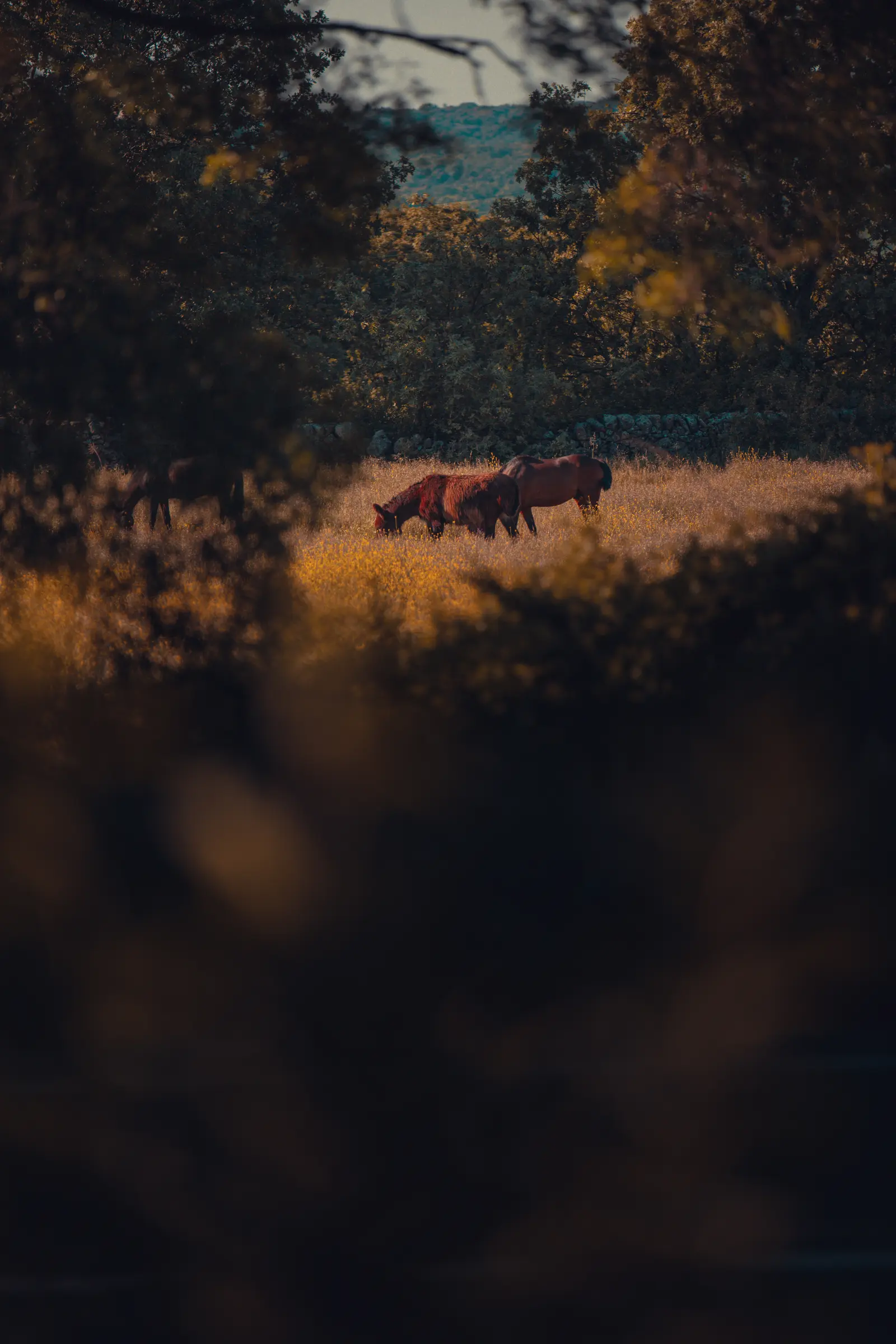 Intento subida Abantos-1